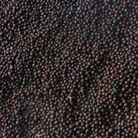 Black Mustard Seeds