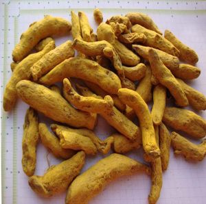 Dried Turmeric Powder