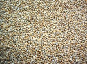 Green Millets