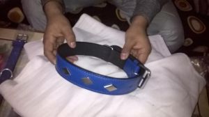 Dog Collar Belts