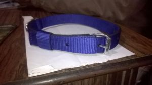 Dog Collars