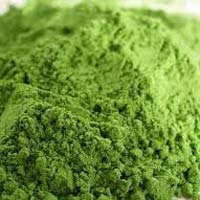 Wheat Grass Powder