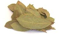 Dried Bay Leaves