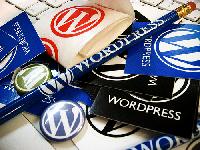 Wordpress Website Development Services