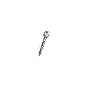 Orthodontic Screw