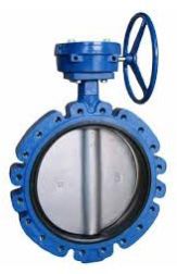 Butterfly Valve