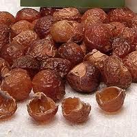 Soapnut