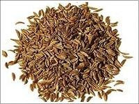 Carom Seed