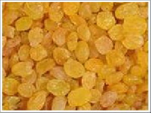 Golden Raisins