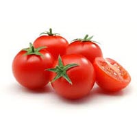 Fresh Tomato