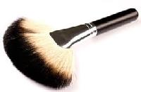 blush brushes