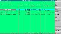 Tally Accounting Software