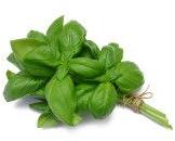 Organic Basil Leaves