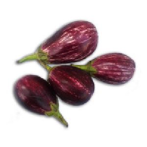 Organic Brinjal purpulish white