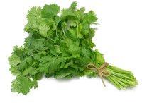 Organic Coriander leaves