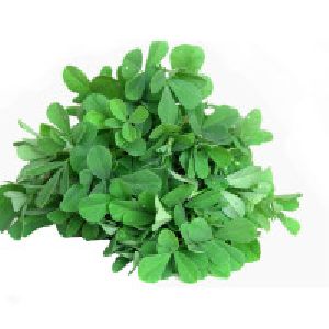 Organic Fenugreek Leaves