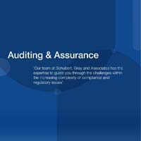 Auditing & Assurance