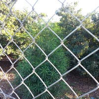 Chain Link Fence