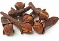 Clove Seeds