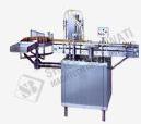 Automatic Twin Head Liquid Filling Machine