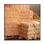 Coir Fibre