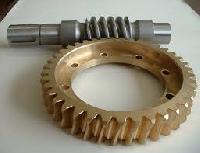 worm gear set