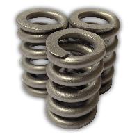 Heavy Duty Springs