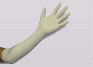 18 Inch Powdered Latex Gynecological Gloves