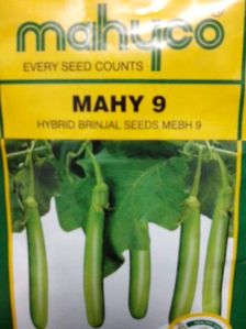 Hybrid Brinjal Seeds