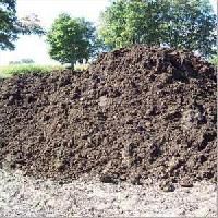 Bio Compost