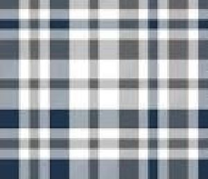 Checked Fabric