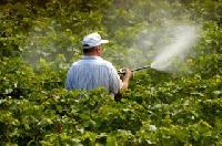 Organic Pesticide