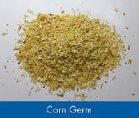 Maize Germ