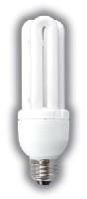 Compact Fluorescent Light