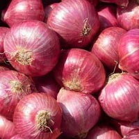 Fresh Red Big Onion