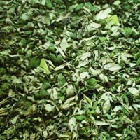 moringa dried leaf