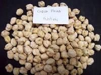 Chickpeas Seed