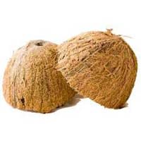 Coconut Shells