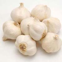 Fresh Garlic