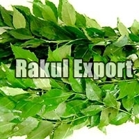 Curry Leaves