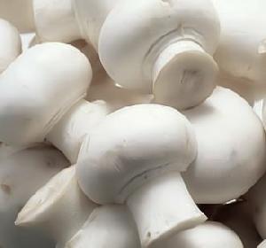 Fresh Button Mushroom