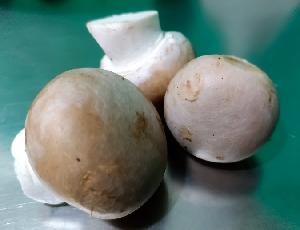 Fresh Button Mushroom