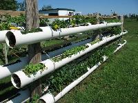 gardening pipes