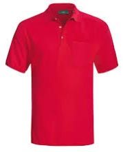 Mens Polo T-shirt