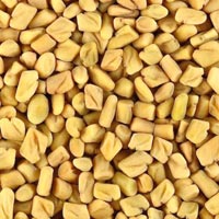 Fenugreek Seeds