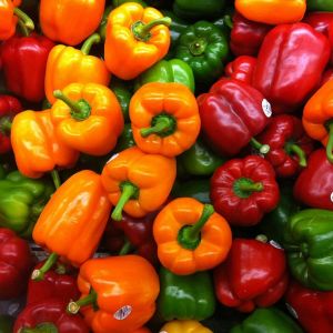 Fresh Capsicum