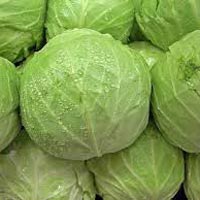 Fresh Green Cabbage