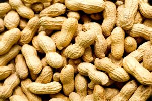 Shelled Peanuts