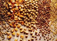 grains pulses