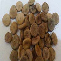 Nux Vomica Seeds